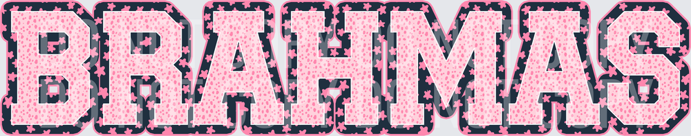 KayndiDesigns 08.26 Varsity Stars Brahmas