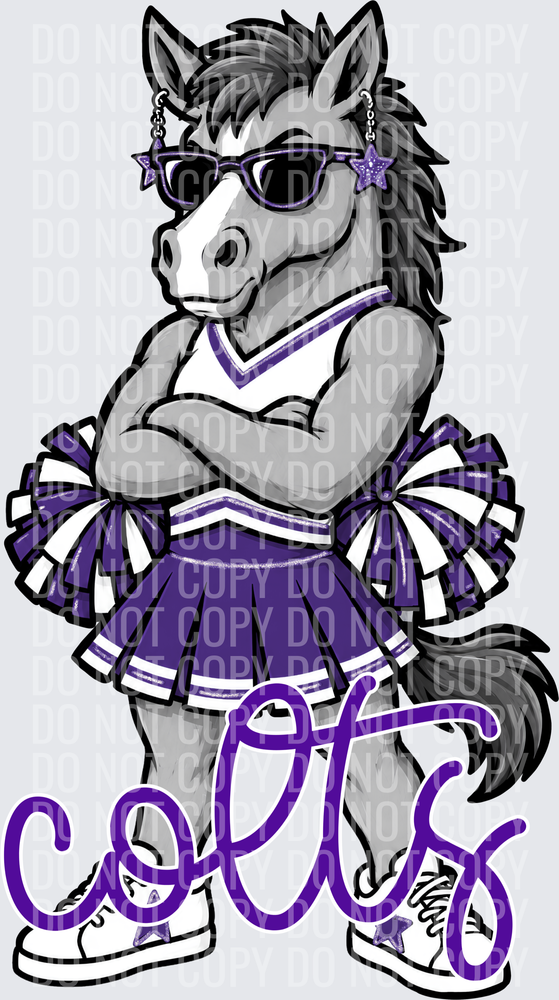 Colts Cheer Purple White