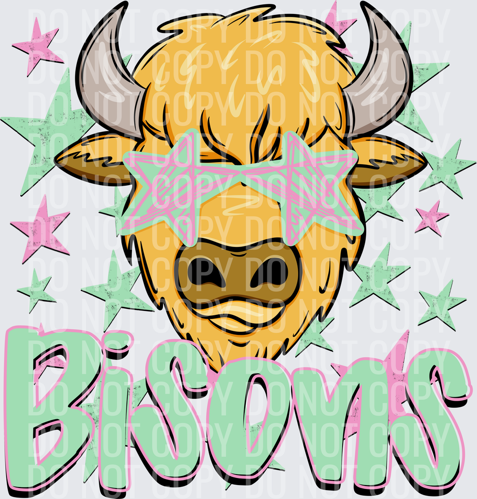 Bisons light
