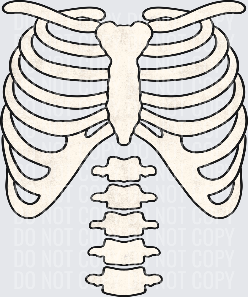 Skeleton torso white