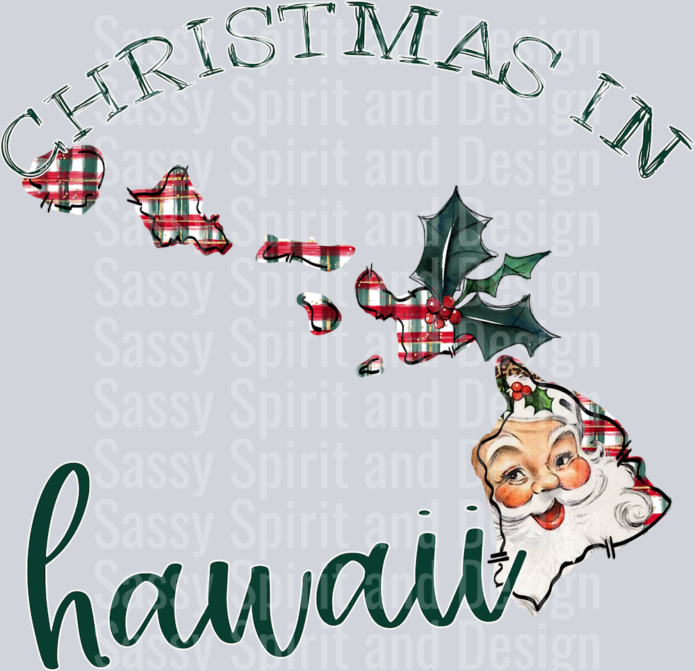 Christmas in State Santa State Set HAWAII