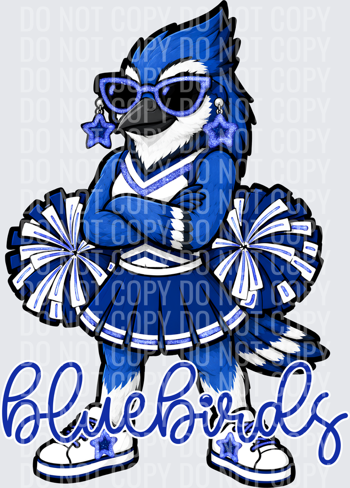 Bluebirds Cheer Blue White