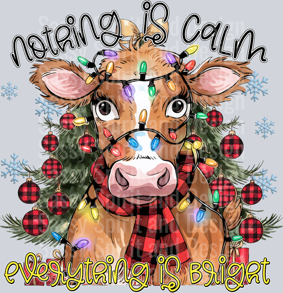 NothingIsCalmEverythingIsBright