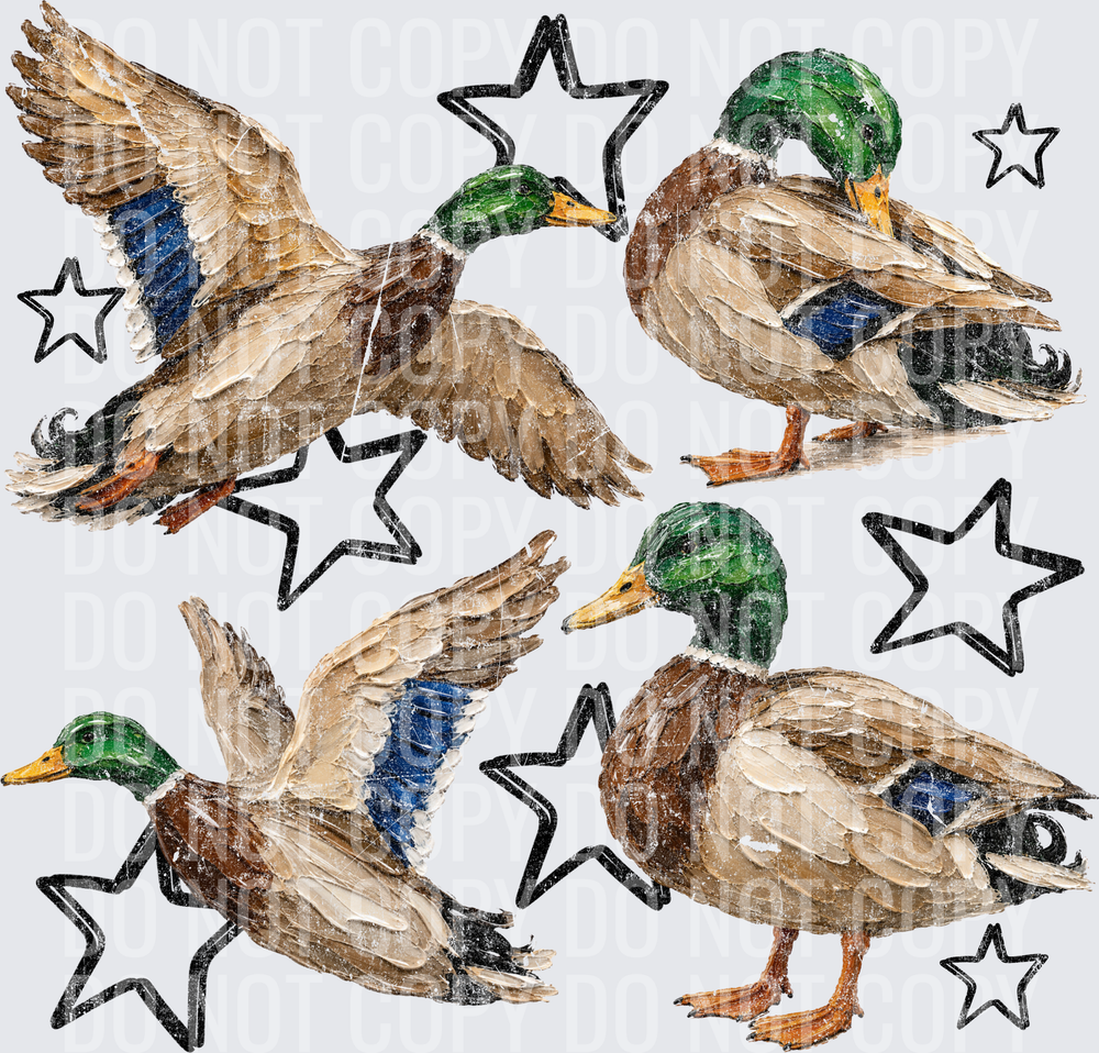 Painted Ducks