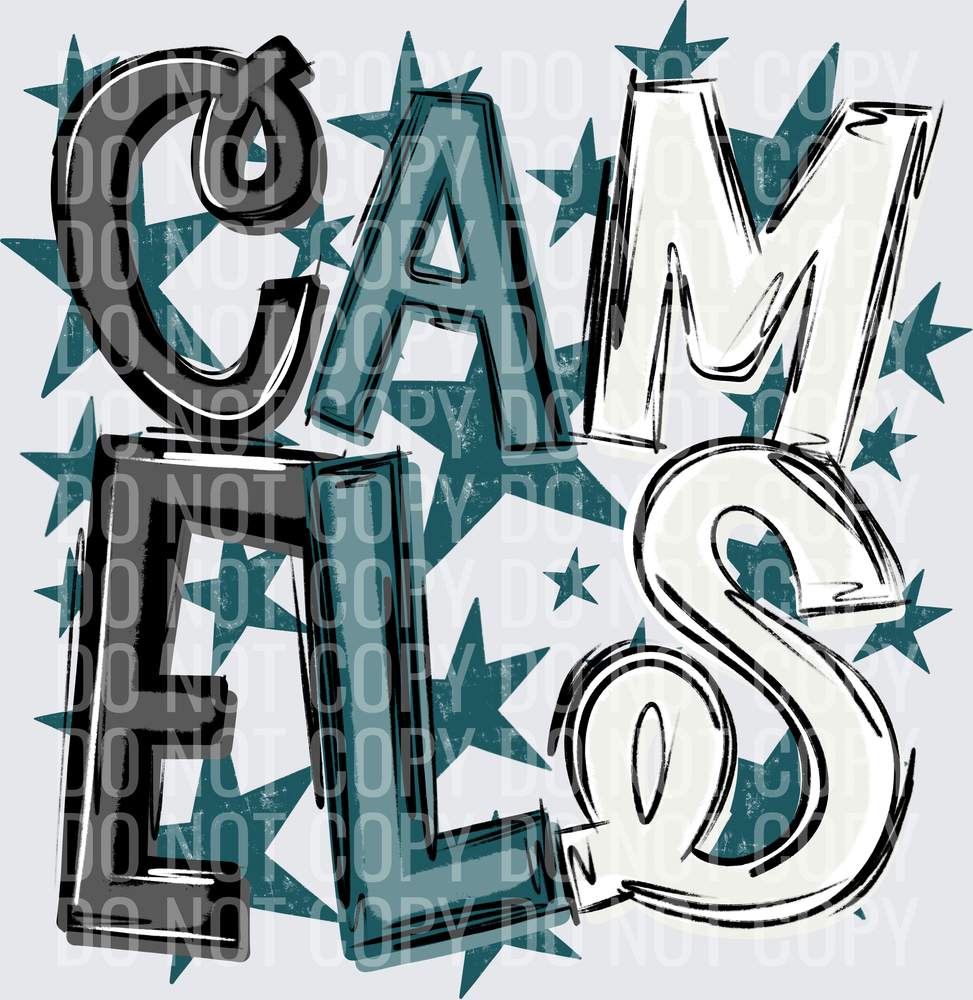CAM-ELS