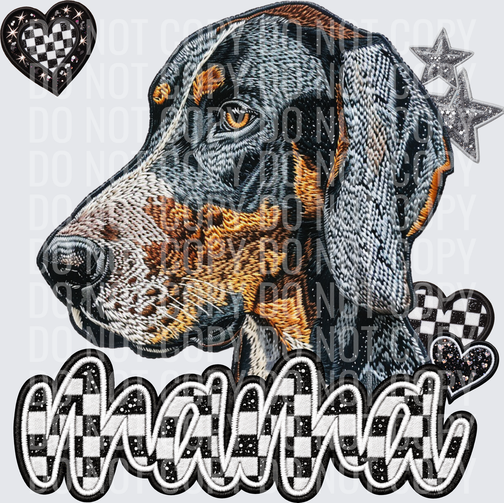 BluetickCoonhound2