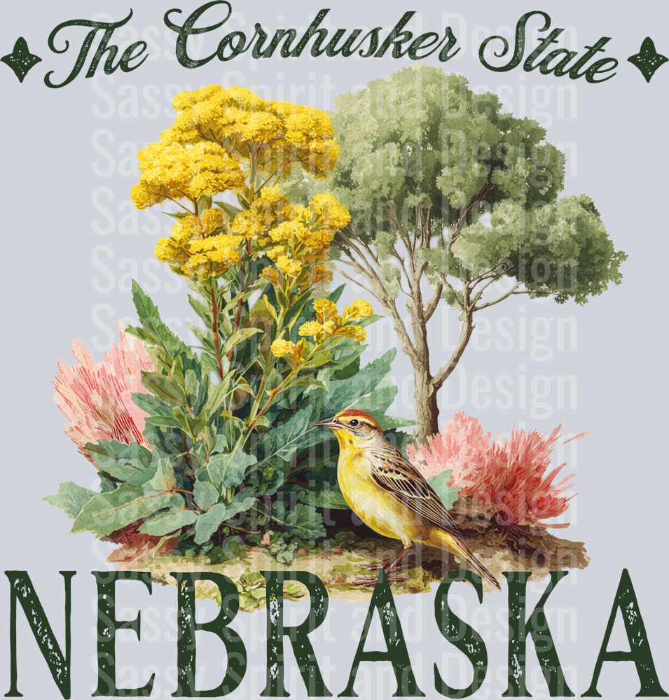 VINTAGE STATES NEBRASKA