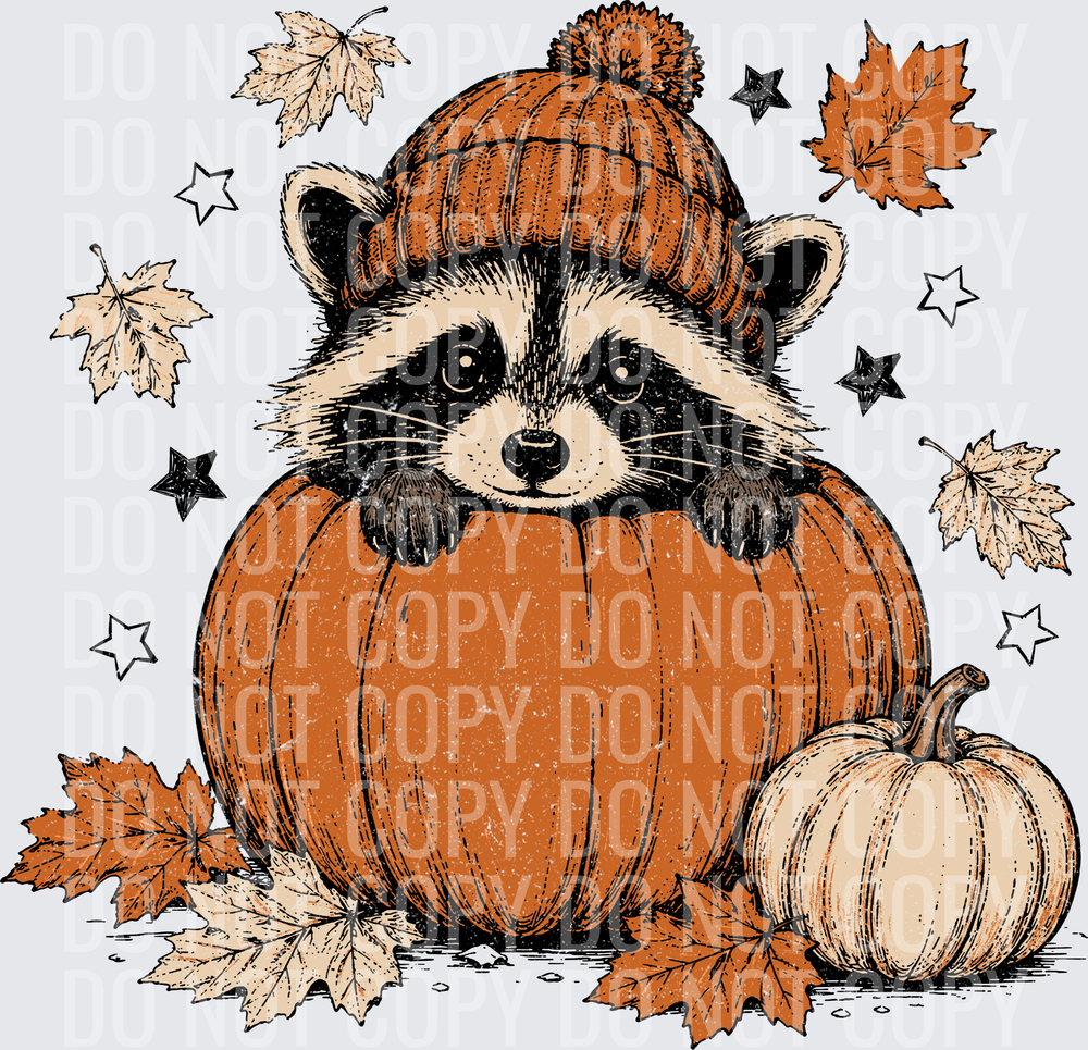 Fall Pumpkin. Raccoon BLACK STARS