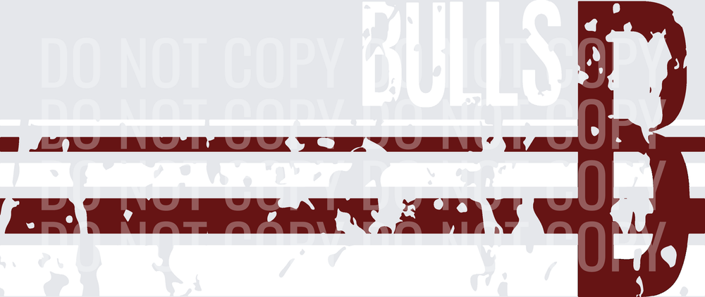 B BULLS