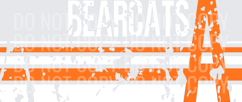 A BEARCATS