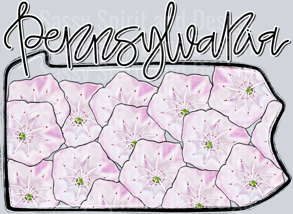 PENNSYLVANIA WHIMSY STATES