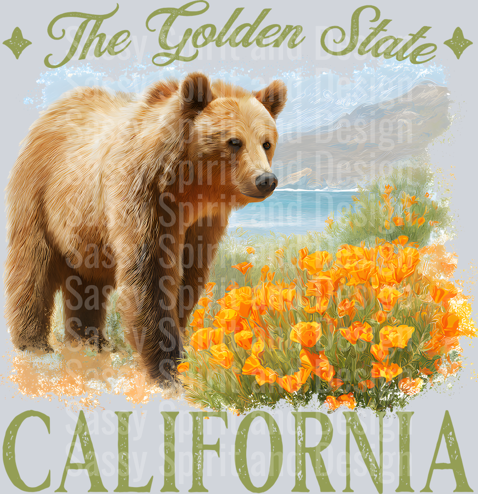 VINTAGE STATES CALIFORNIA