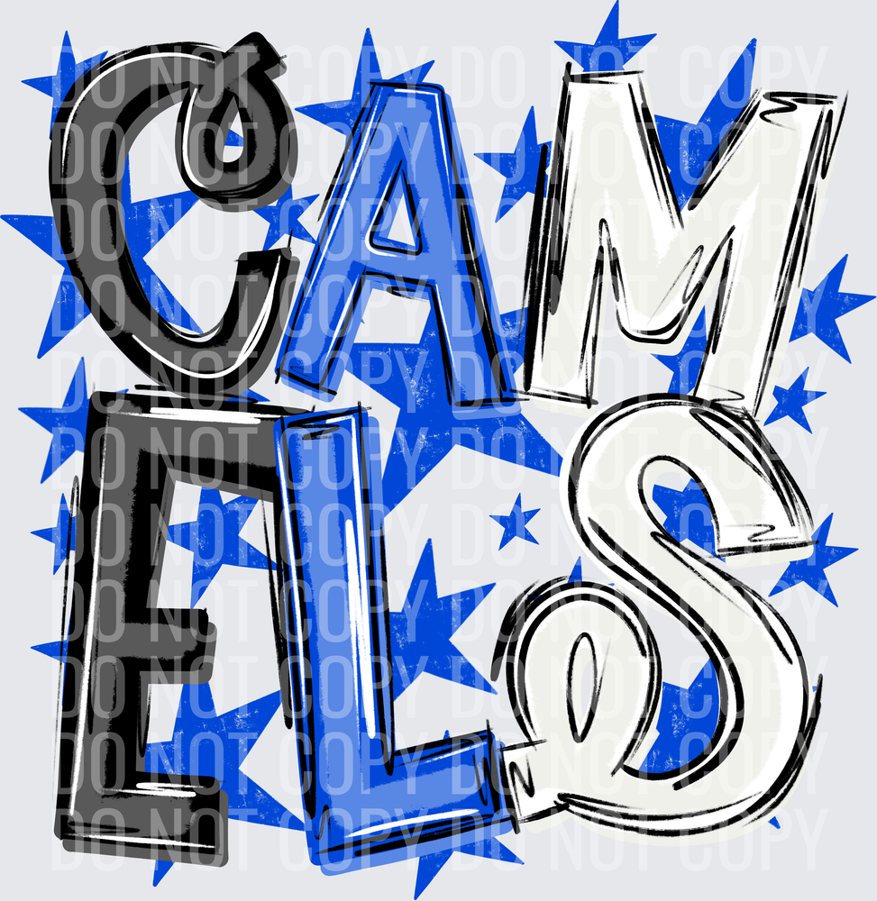 CAM-ELS