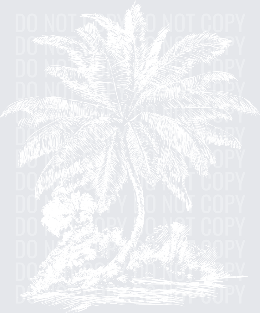 PALM TREE SKETCH