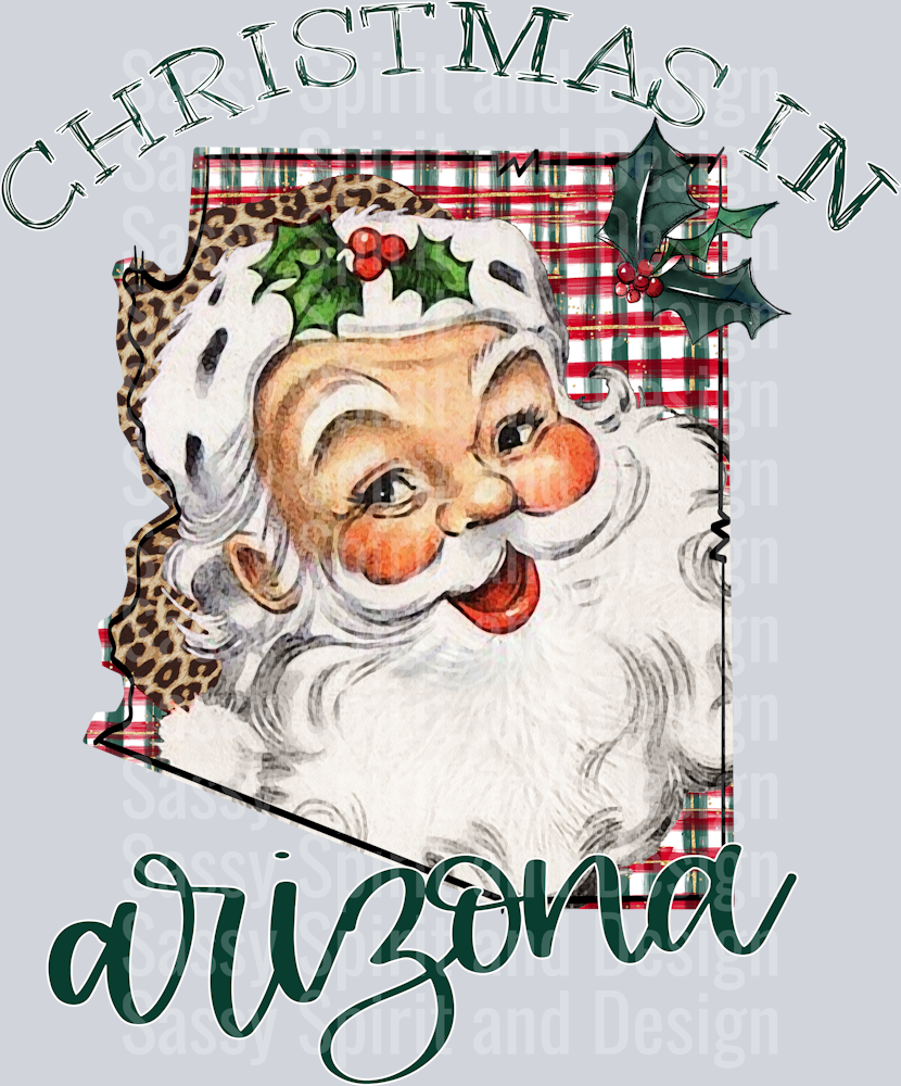 Christmas in State Santa State Set ARIZONA