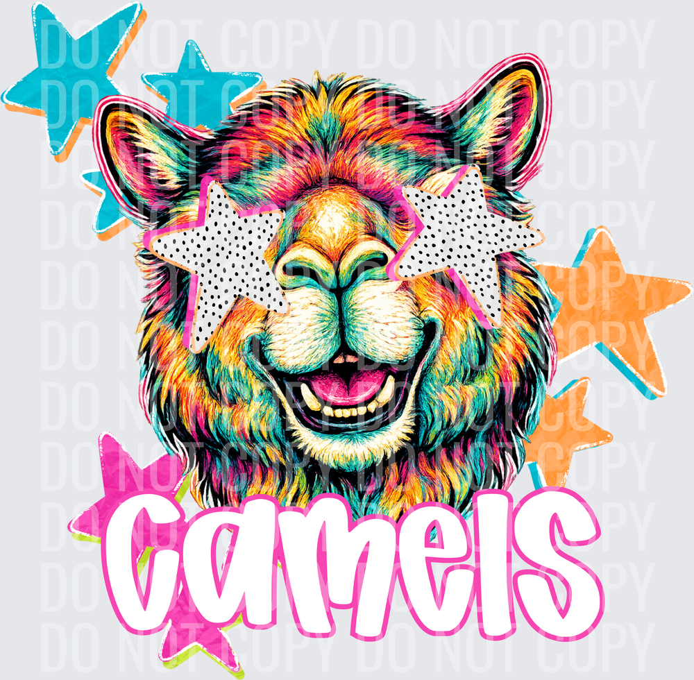 CAMELS