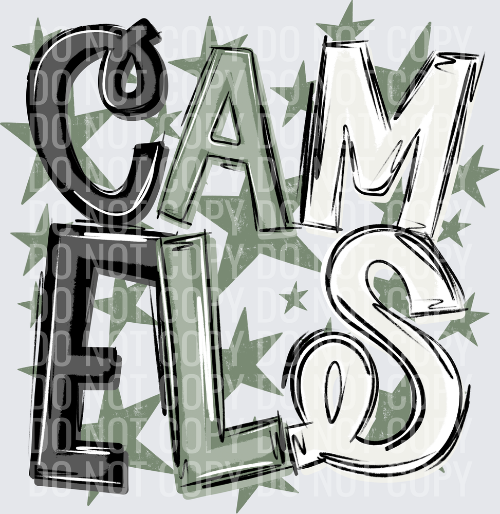 CAM-ELS