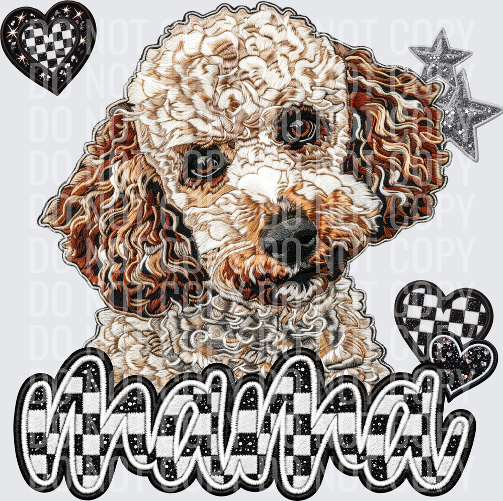 Poodle_