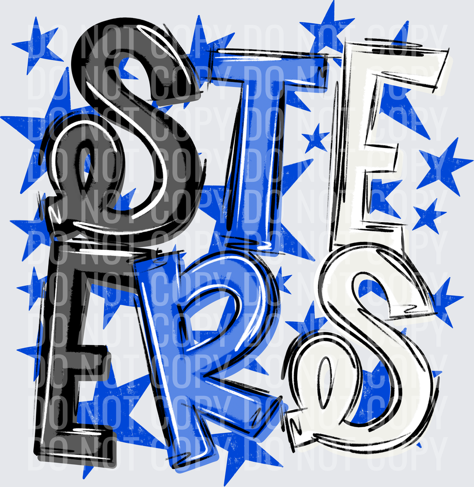 STE-ERS