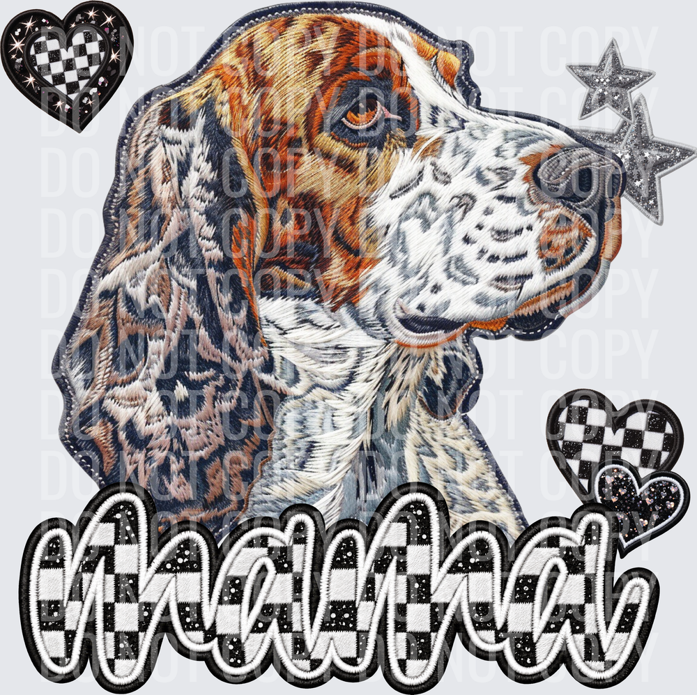 English Setter_