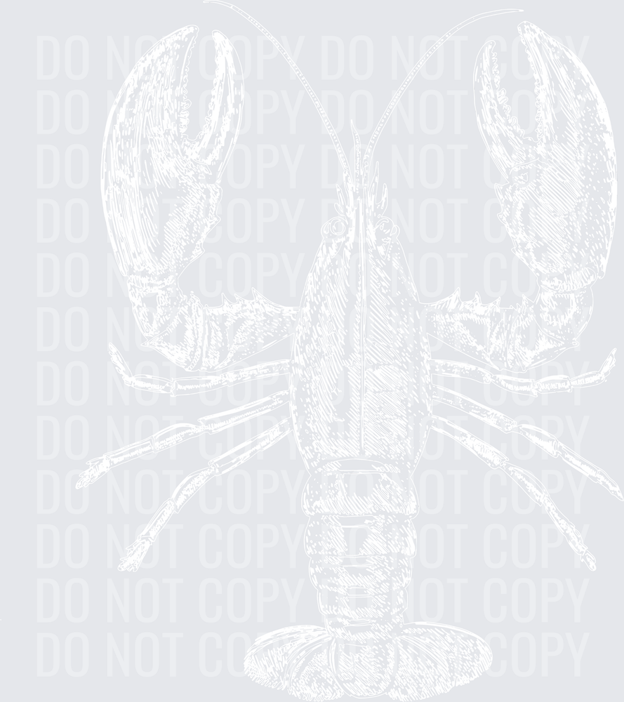 CRAWFISH SKETCH
