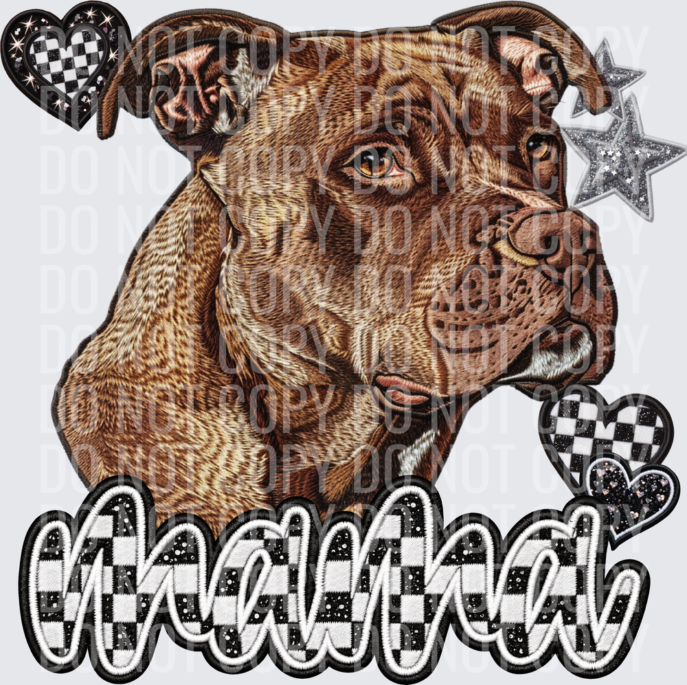 Pit Bull_