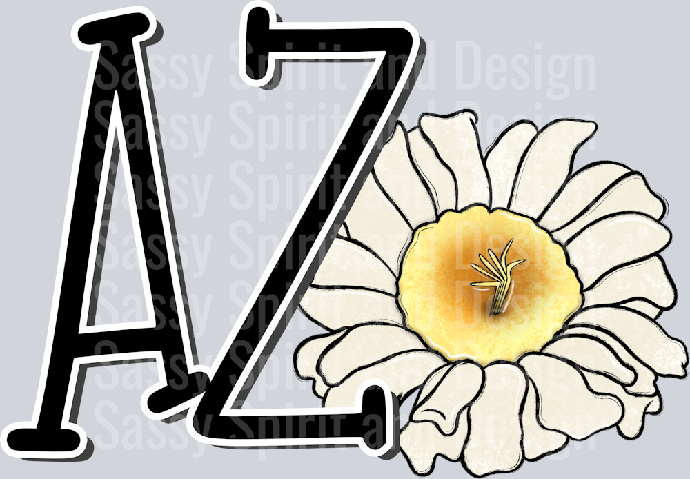 ARIZONA Whimsy Pockets