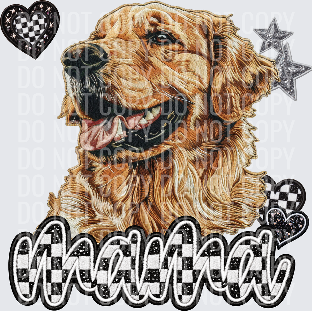 Golden Retriever-1