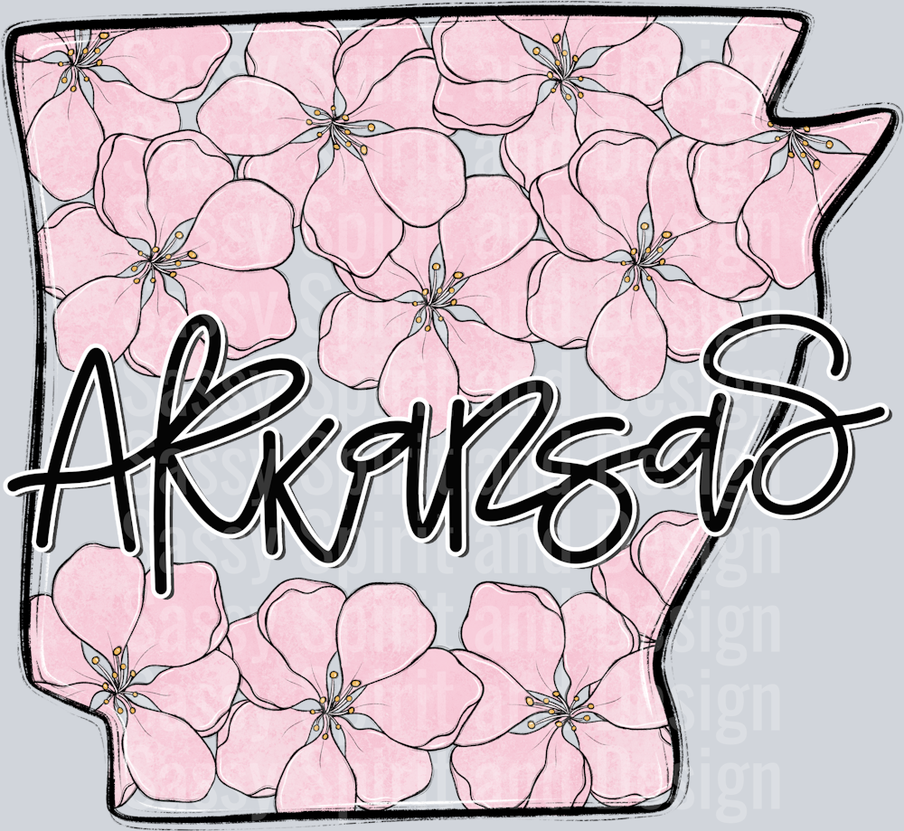 ARKANSAS WHIMSY STATES