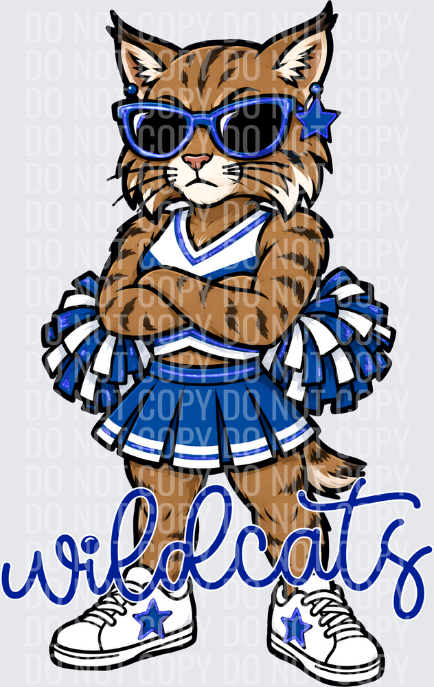 Wildcats Cheer Blue White