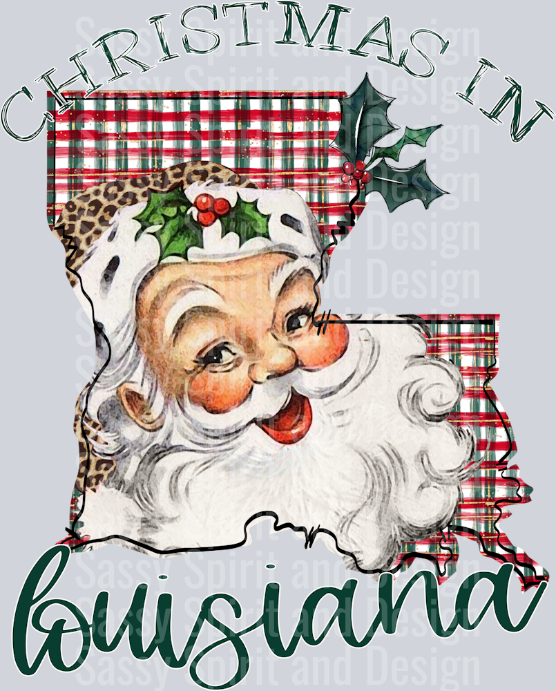 Christmas in State Santa State Set LOUISIANA