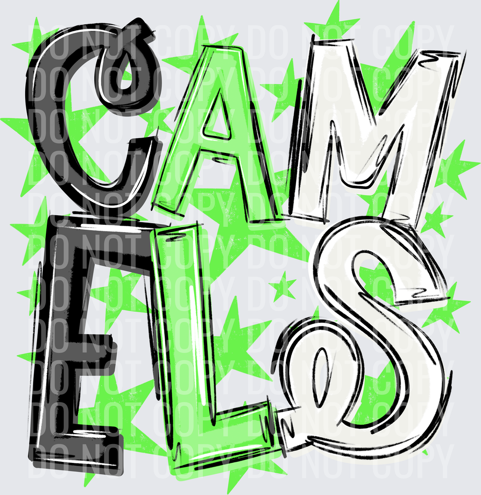 CAM-ELS