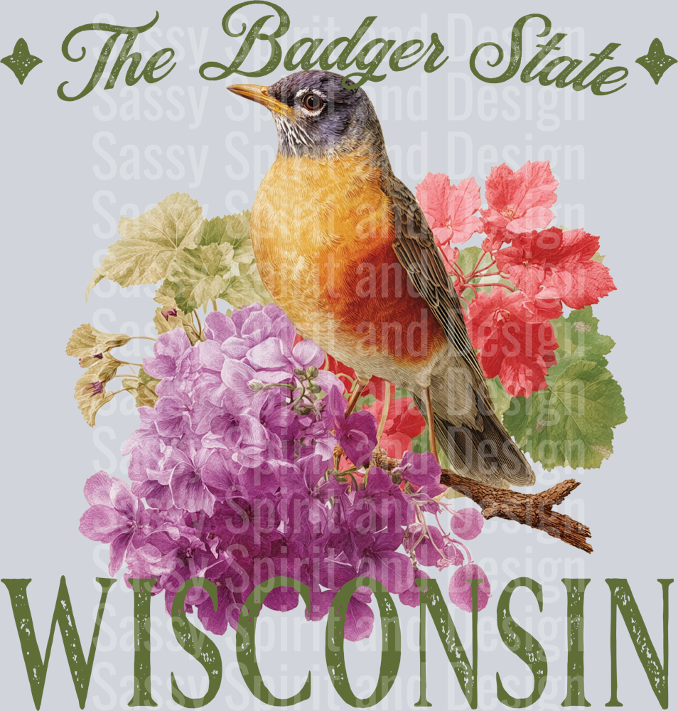 VINTAGE STATES WISCONSIN