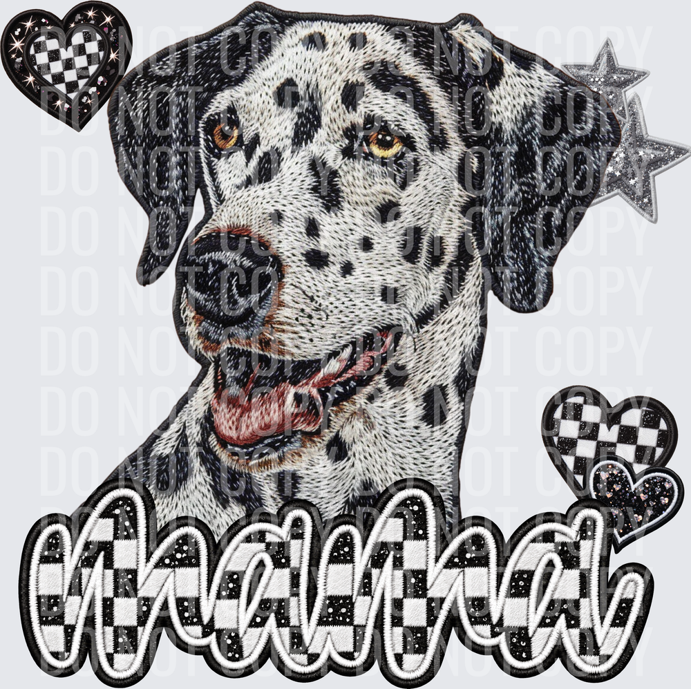 Dalmation-1