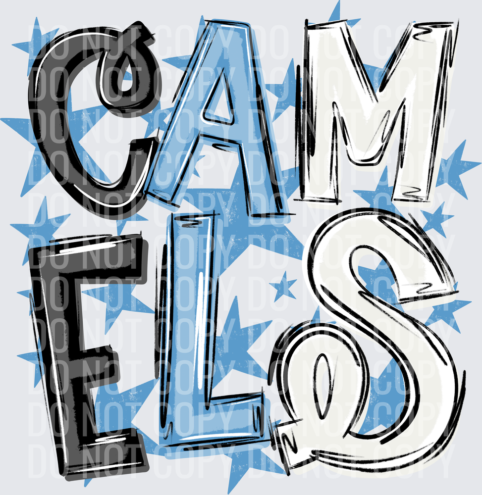 CAM-ELS