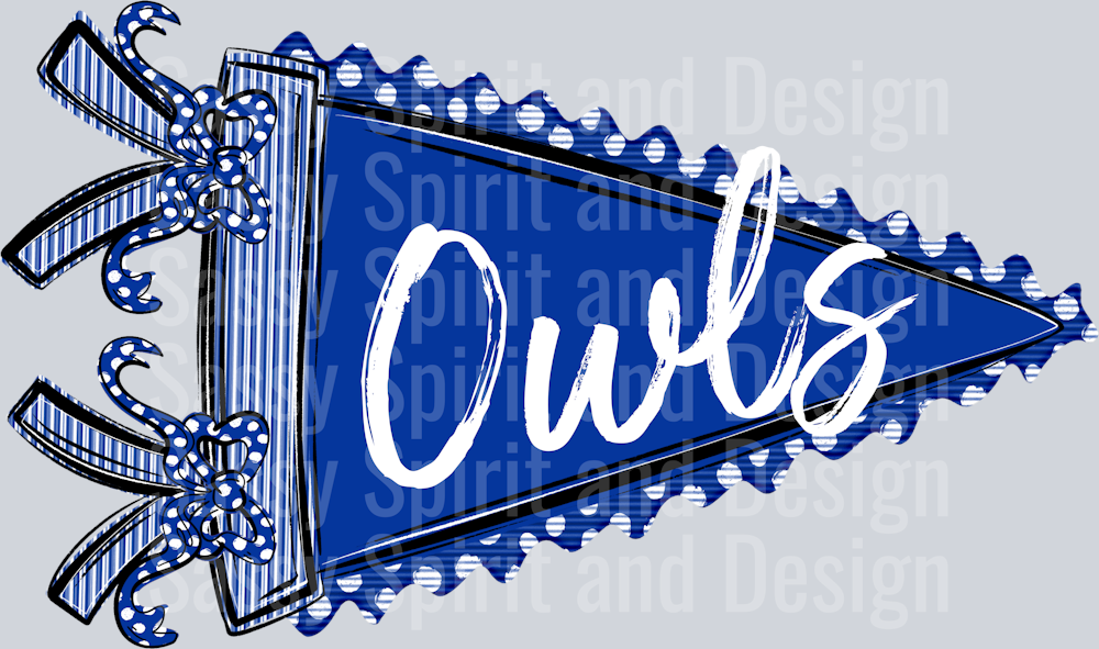 OWLS BLUE PENNANT