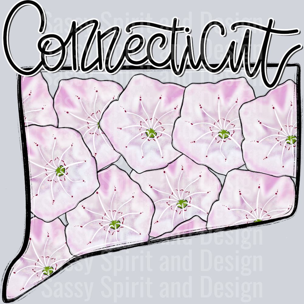 CONNECTICUT WHIMSY STATES