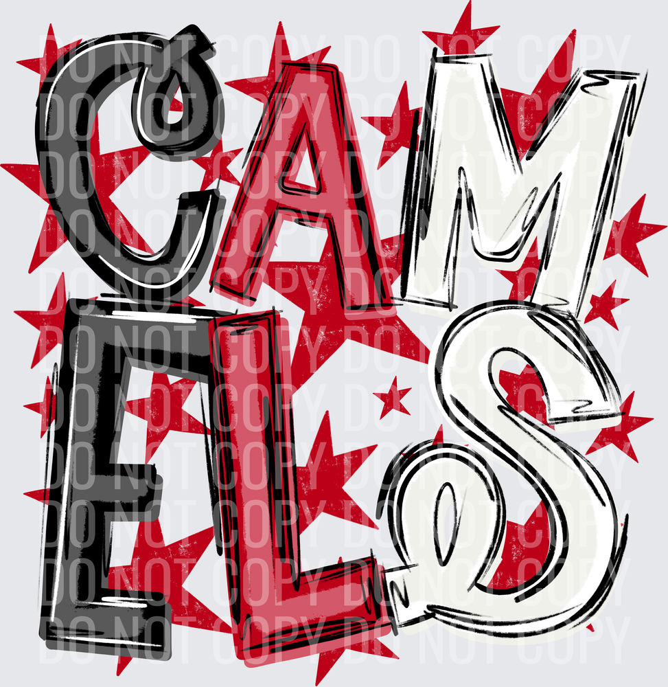 CAM-ELS