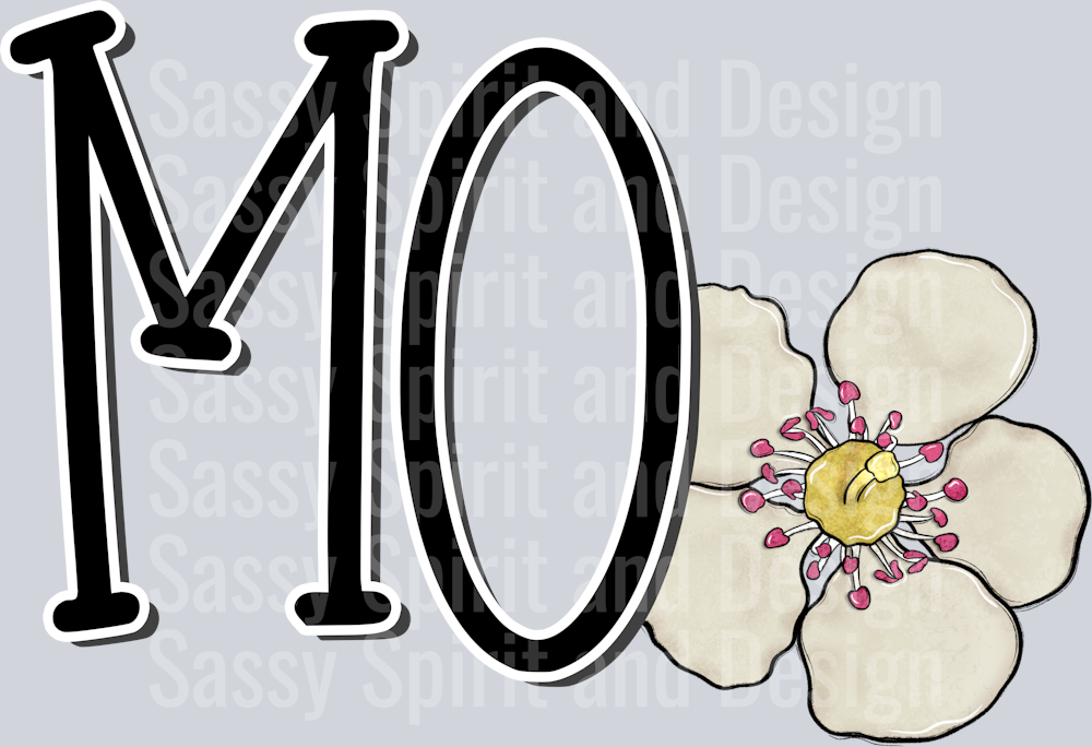 MISSOURI Whimsy Pockets