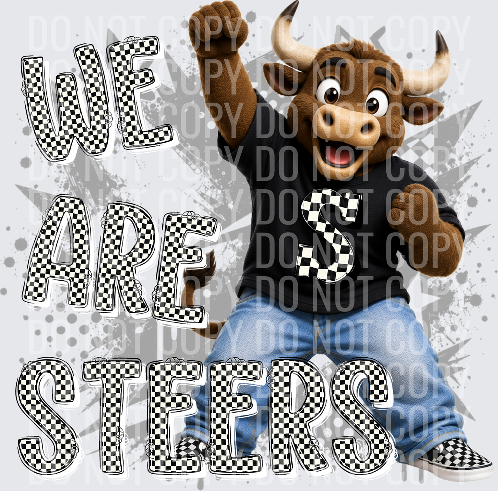 STEERS