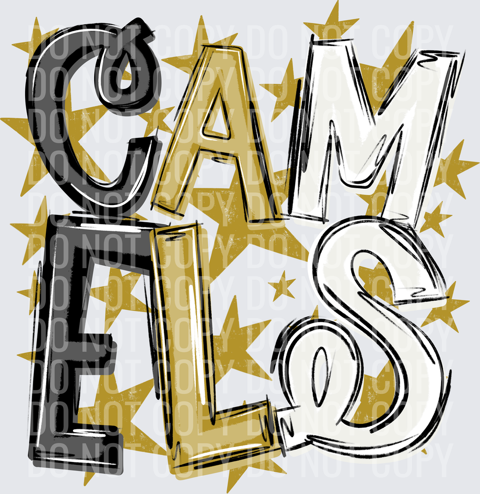CAM-ELS