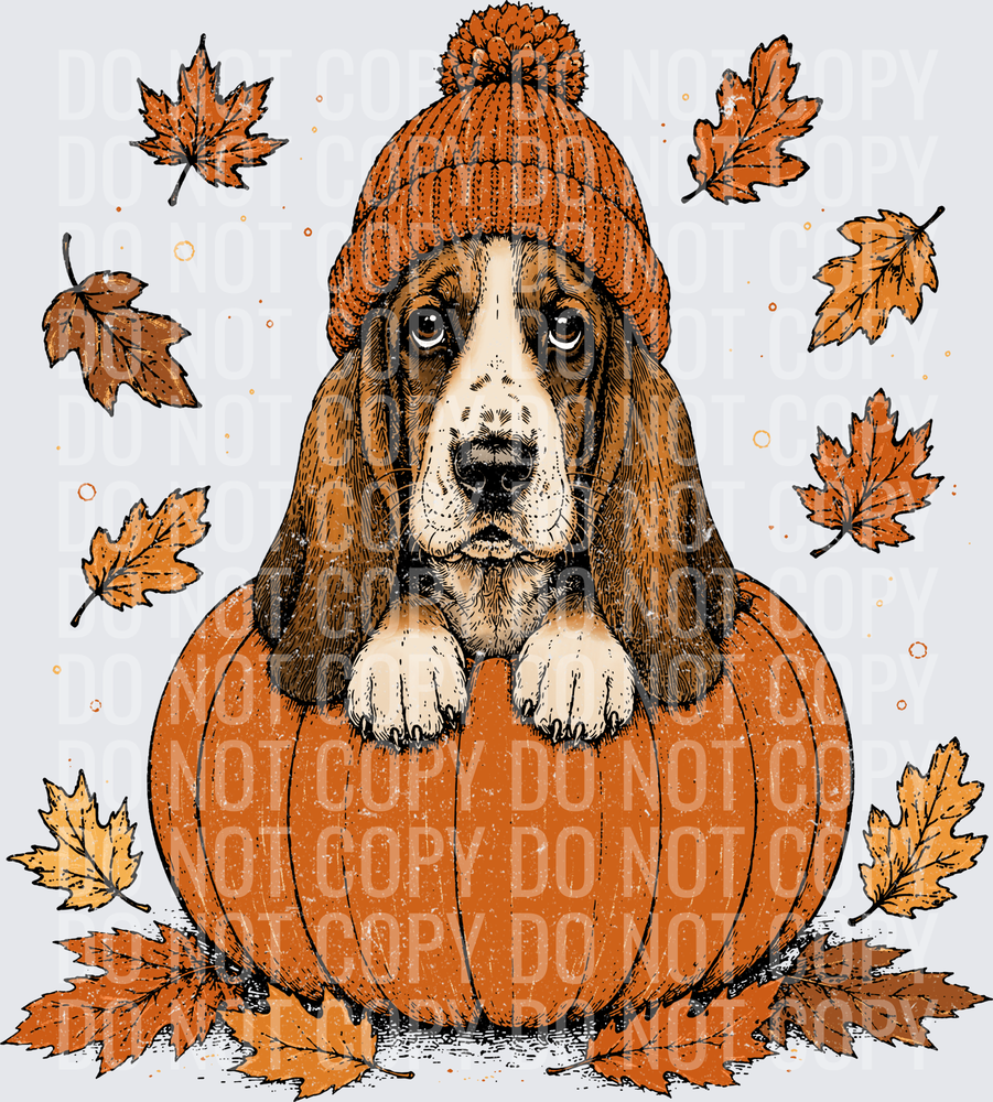 Basset Hound Pumpkin Peeker