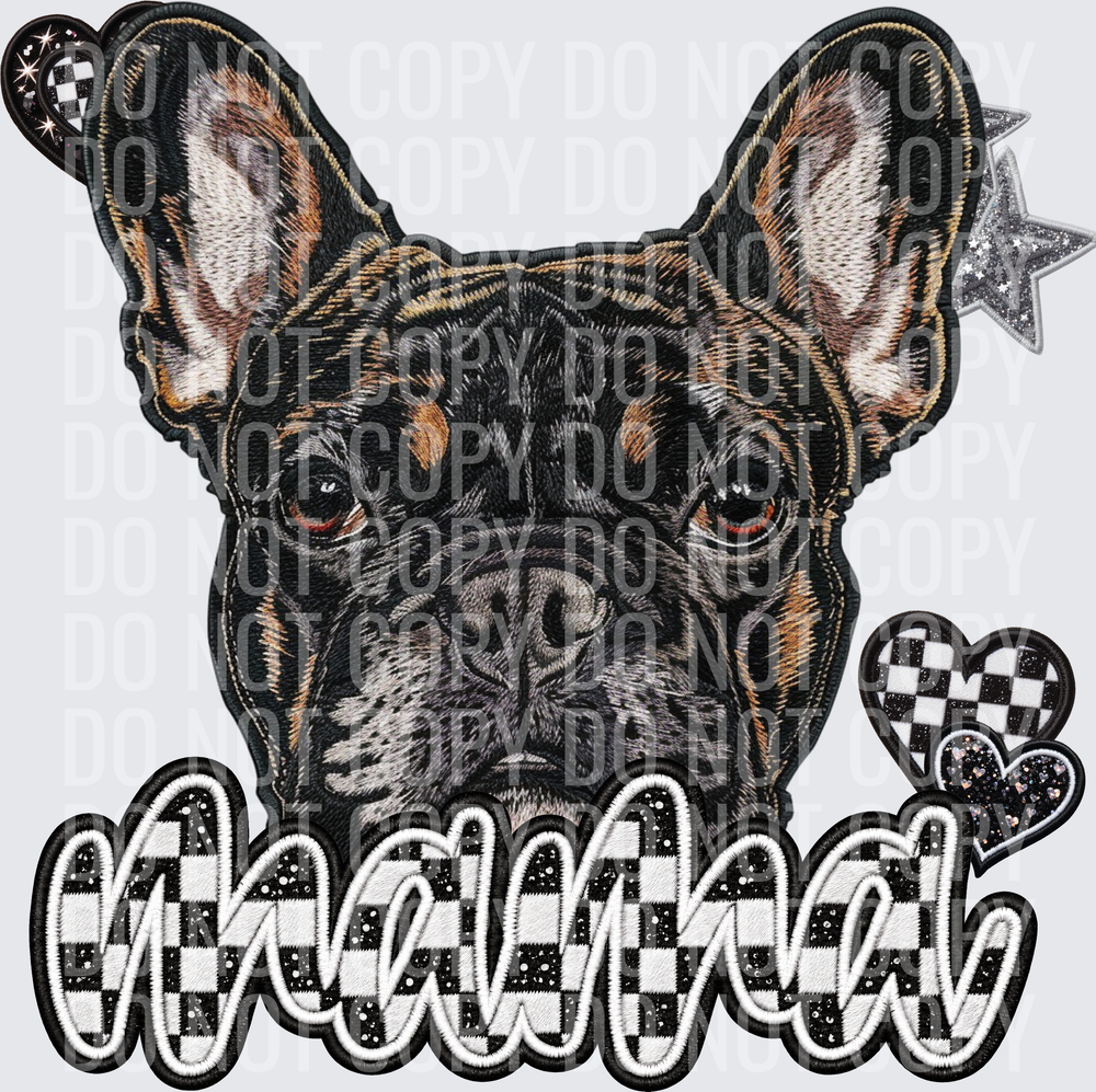 French Bulldog_