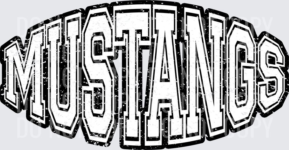 mustangs