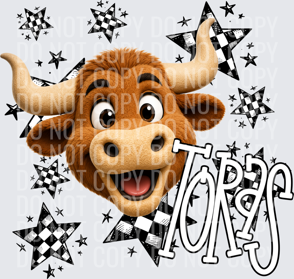 TOROS