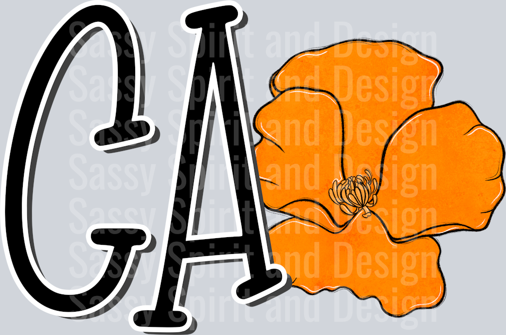 CALIFORNIA Whimsy Pockets