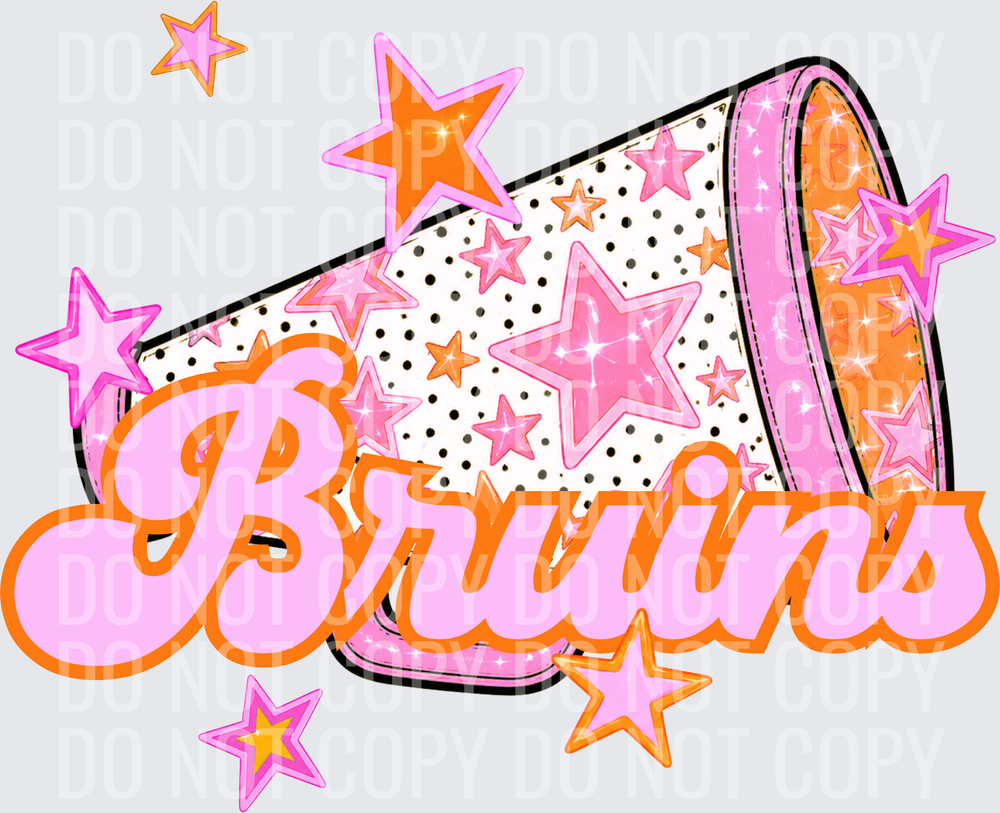 BRUINS