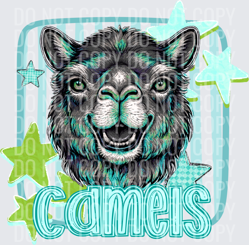 CAMELS
