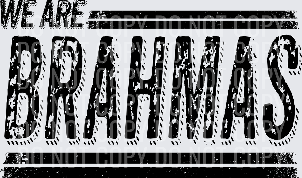 we are Brahmas