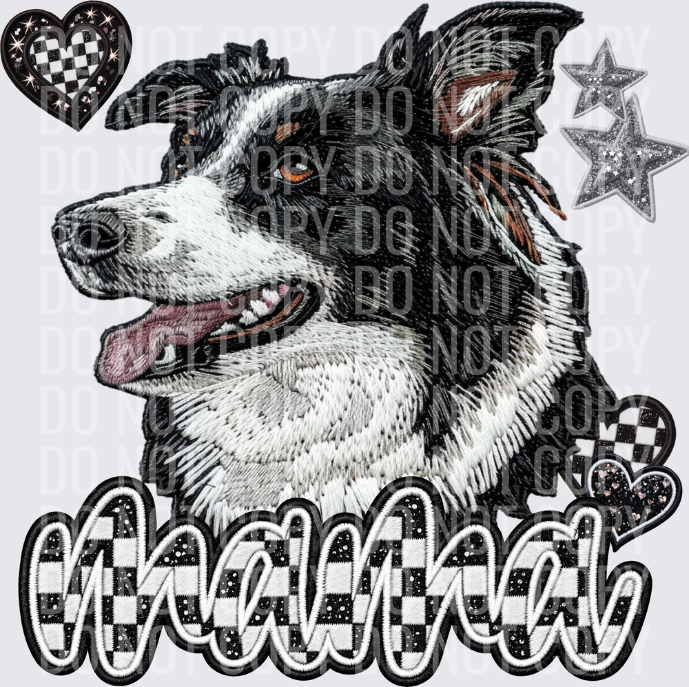 BorderCollie